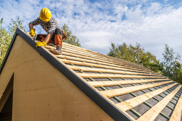 Roof Gutter Cleaning in Lookout Mountain, AL